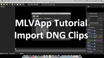 MLVApp Tutorial - Import DNG Clips
