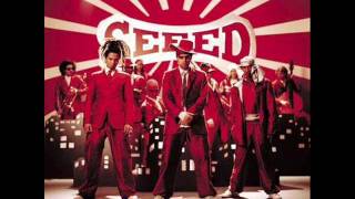 Video thumbnail of "seeed - What You Deserve Is What You Get"