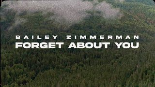 Watch Bailey Zimmerman Forget About You video