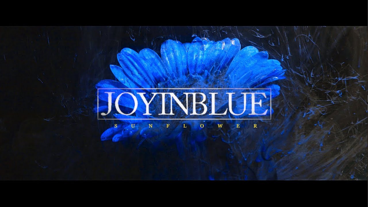 Joy In Blue Sunflower Official Music Video Youtube Joy In Blue Sunflower Official Music Video Youtube
