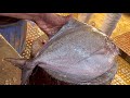 Amazing Big Black Pomfret Fish Cutting Skills In Fish Market | Fish Cutting By Expert Cutter