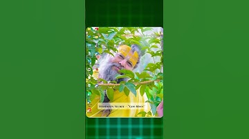 🔥 Windows God Mode | Unlock 200+ Hidden Settings in One Click