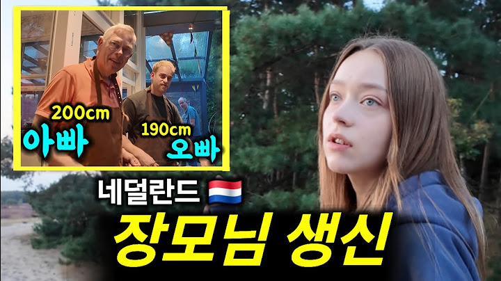 거인국 네덜란드 여친 부모님 생신파티에 갔더니..? 😳 (외국인 여친 고향 브이로그, 스몰토크)