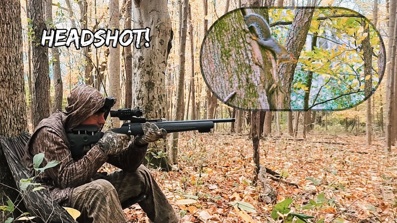 Охота на белок в ветреный полдень с Tikka T1x