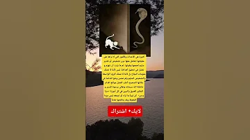 كثيرة هي الأحداث والأمور التي لا نراها على حقيقتها نتعامل معها دون تشخيص أو تقدير سليم لحجمها وقوتها 