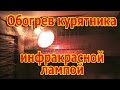 Инфракрасная лампа для птичника