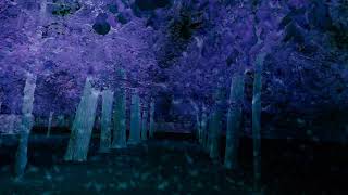 Donkelheet  - Emptiness