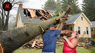 Idiots With Chainsaws: Tree Cutting Fails | Extreme Dangerous Logging Truck Fails #74