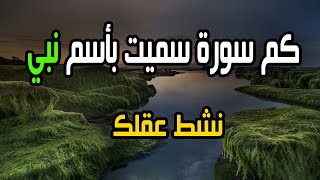 كم سورة في القرآن الكريم سميت بأسم نبي ؟ سؤال وجواب ديني