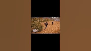state of decay Bug
