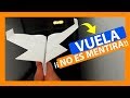 Como hacer un AVION DE PAPEL MOSCA -PASO A PASO