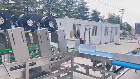 mango Avocado, guava,watermelon,pineapple non-destructive weighing fruit washing and grading machine