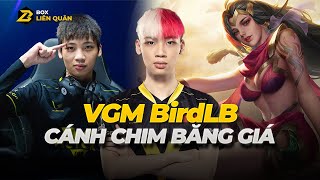 Tiểu Sử Tuyển Thủ: VGM BirdLB - Cánh Chim Băng Giá Toả Sáng Trong Thầm Lặng | Box Liên Quân