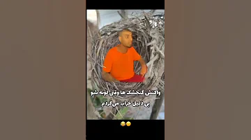 مشکل داری پیشرو شورت Nitro17 