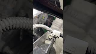 IMG 0739