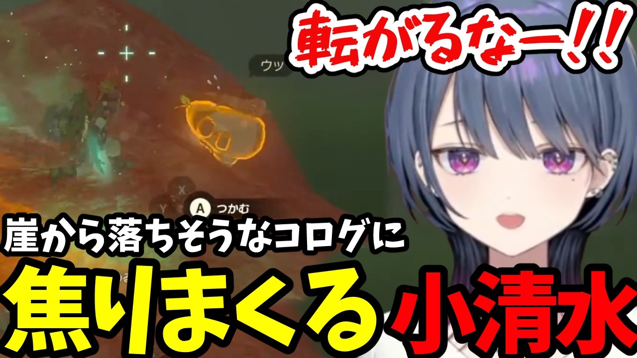 【 ゼルダの伝説 ティアーズ オブ ザ キングダム#13】崖から落ちそうなコログに焦りまくる小清水【小清水 透切り抜き】※ネタバレあり