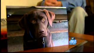 Complaints continue at Vancouver vet