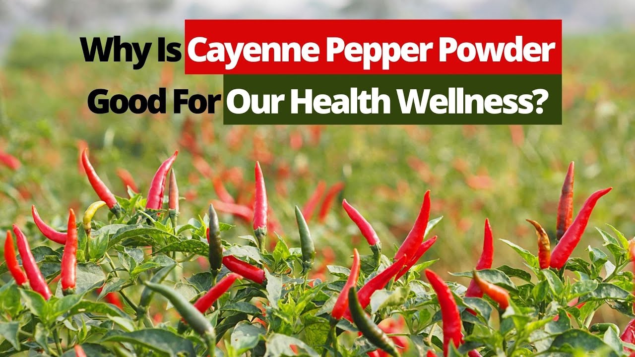 Homemade Cayenne Powder - Chili Pepper Madness