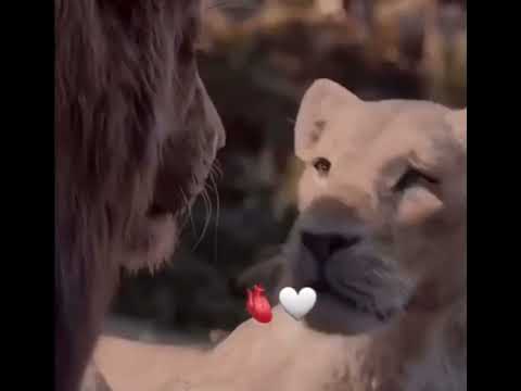 اليسا وسعد من اول دقيقه في وحده تملي بضهرك
