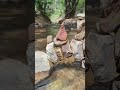 Never the same river twice