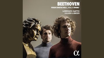 Violin Sonata No. 5 in F Major, Op. 24 "Spring": IV. Rondo. Allegro ma non troppo