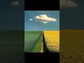 PERFECT PHOTOS FEELS ILLEGAL TO WATCH #oddlysatisfying #satisfying #perfection #relaxing #asmr