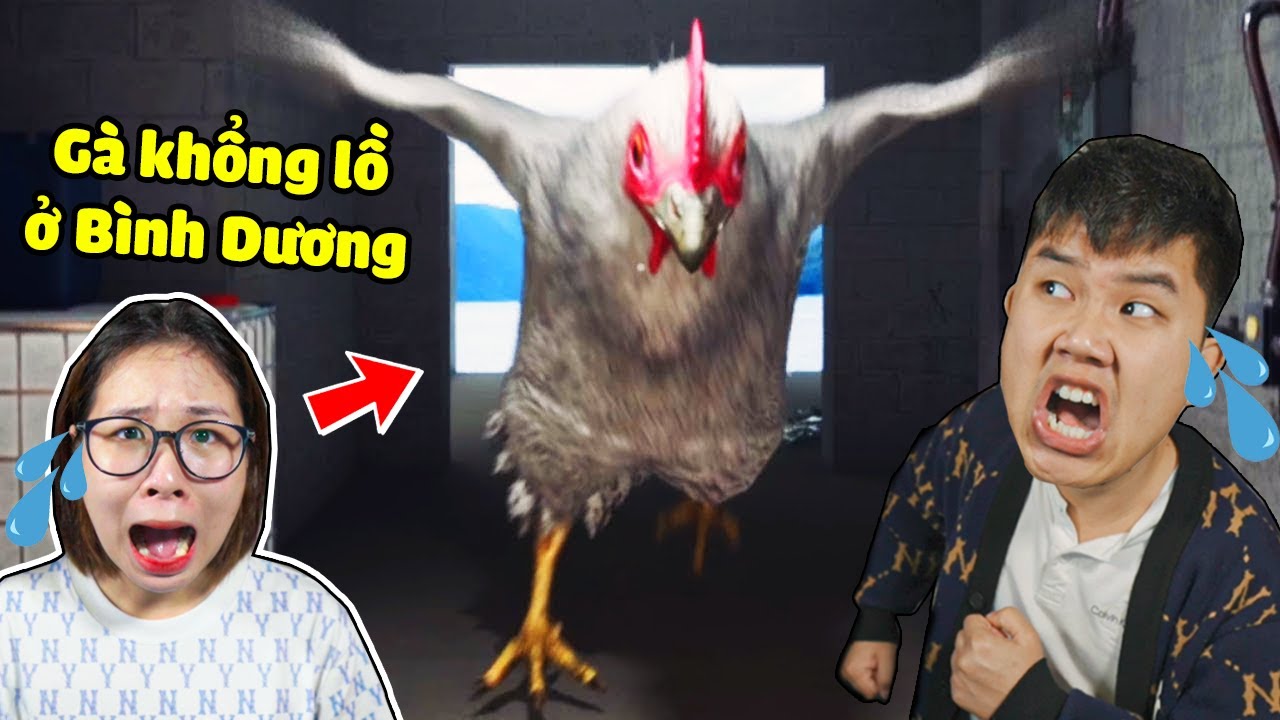 bqThanh và Ốc Bị Gà Khổng Lồ ở Bình Dương Đuổi Theo Ăn Thịt Trong Chicken Feet ???