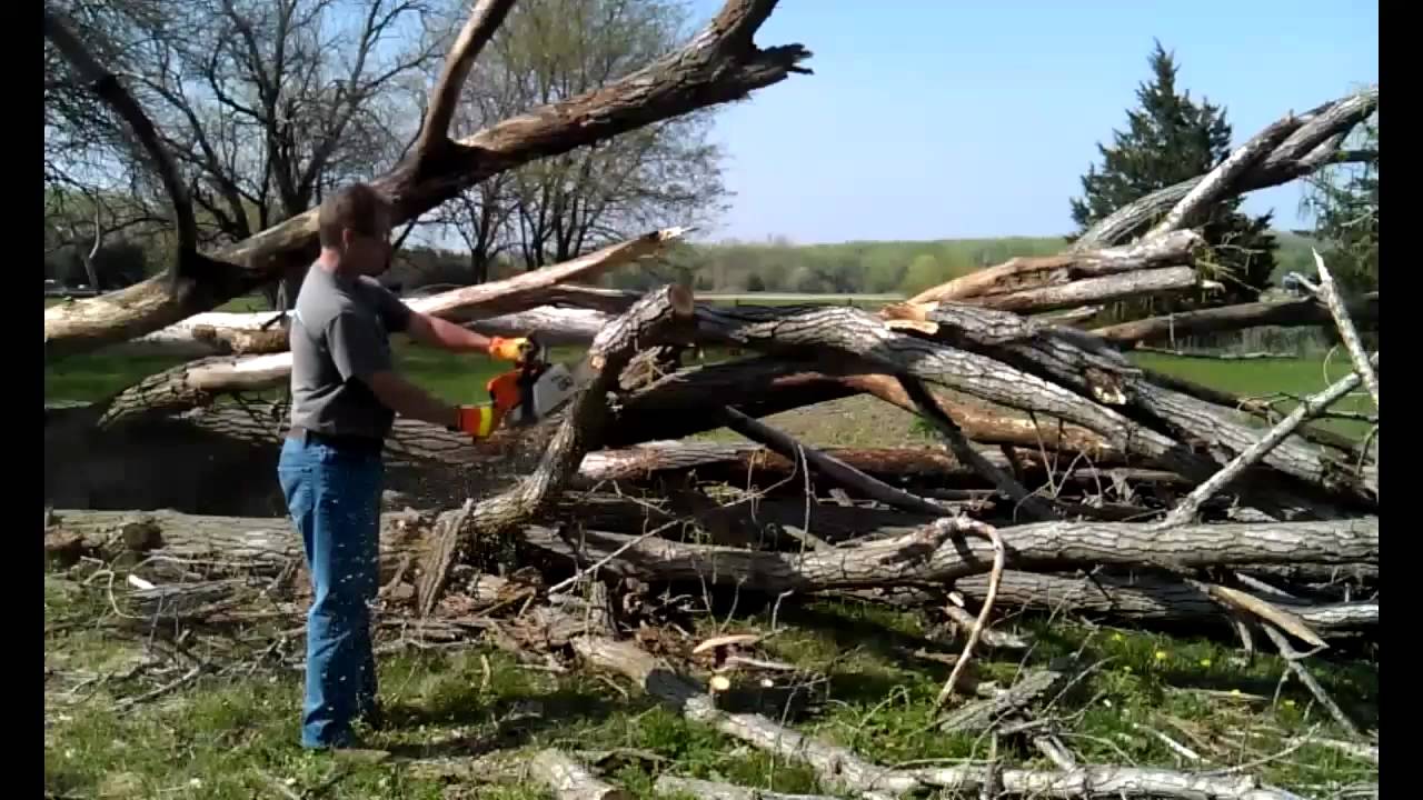Tree Trimming YouTube