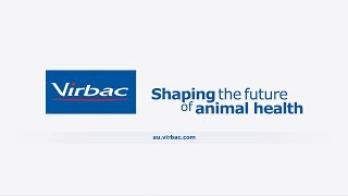 Virbac Episoothe SIS product animation
