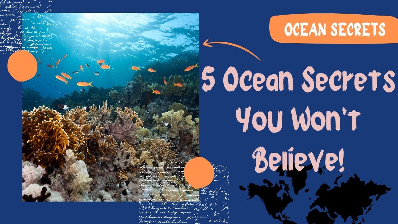 5 Strange Facts About the Oceans | You Won’t Believe!