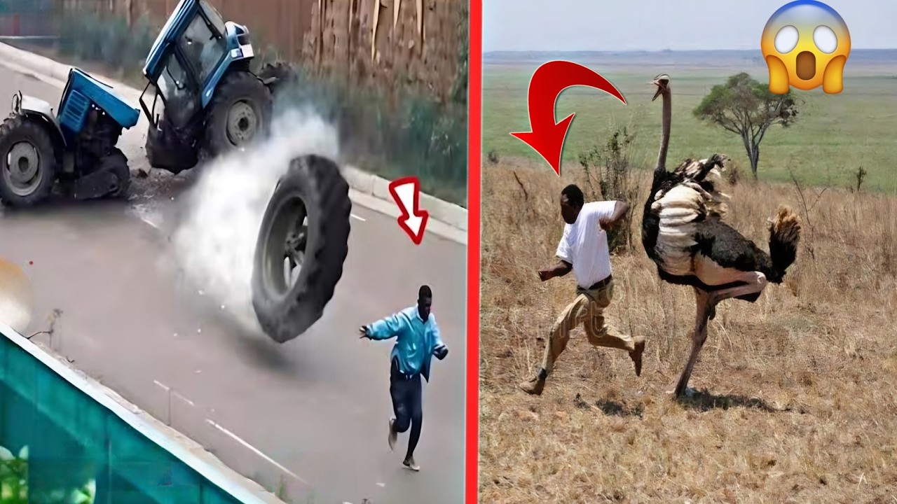 أقوى مقلب كوميدي في الشارع | ردود فعل الناس هتموتك ضحك!