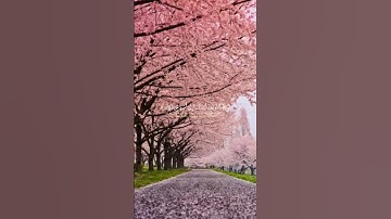 { الله لقد أرسلنا إلى امم من قبلك } آيات من سورة النحل