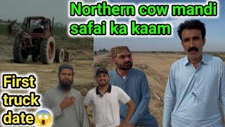 First Truck Date Reveal By Intezamia Safai Kaam Start Northern Cow Mandi Update