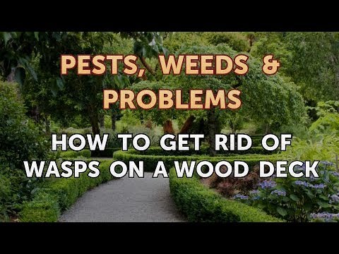 How to Get Rid of Wasps on a Wood Deck