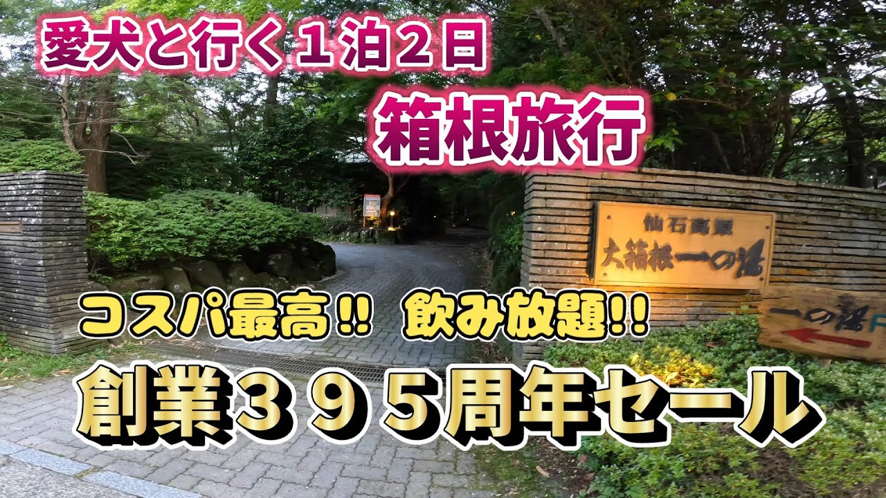 【箱根旅行】創業395周年キャンペーン仙石高原大箱根一の湯がコスパ最強で凄すぎた＃貸し切り露天風呂＃飲み放題あり＃愛犬と旅行＃ジャックラッセルテリア＃ドックラン