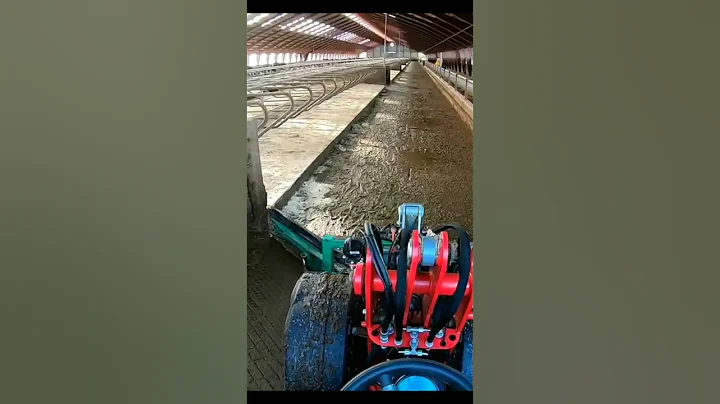 Cow Farm Hygiene: Cleaning up shit