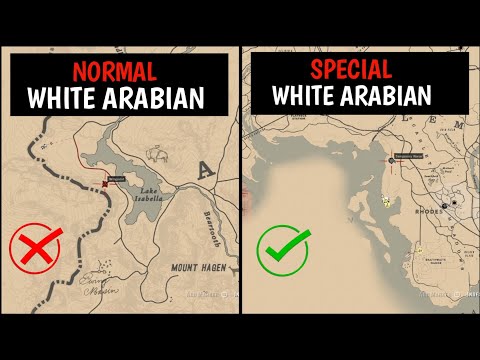 Видео: Араб морь хамгийн сайн rdr2 мөн үү?