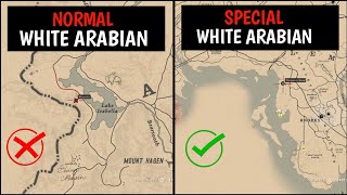 One & Only Special White Arabian Horse That 99% Players Missed - RDR2