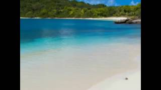 Necdet Yildiz Ela Gözlüm Resimi