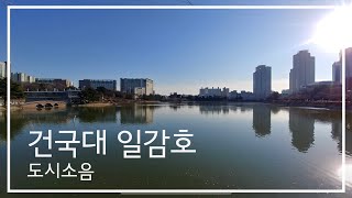 건대 호수 '일감호' Konkuk University Lake | 도시소음