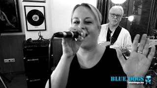 Video thumbnail of "Az eső és én - Szabó Gábor, Kovács Kati - Blue Dogs Cover"