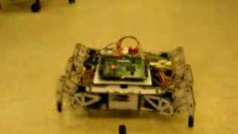Hexapod Shuffle