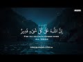 ساعة كاملة تلاوة تقشعر لها الأبدان بصوت محمد هشام   