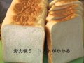 １斤の食パンに捧ぐ【オリジナルソング】