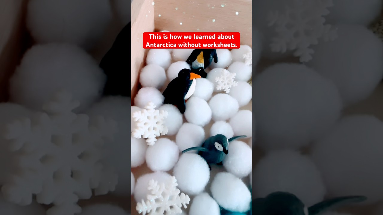 Montessori geography shelf rotation for winter