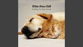 Calm Whiskers and Tails