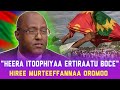 KALLATTII: "OROMOON KARAA DOGOGGORAARRA JIRA". OBBO JAMAAL GANAMOO.