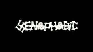 Download Lagu NOAH - Separuh Aku Download Lagu NOAH - Separuh Aku