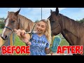 GIVING MY HORSE A MAKEOVER  *SATISFYING*