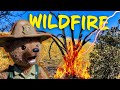 Understanding Wildfires